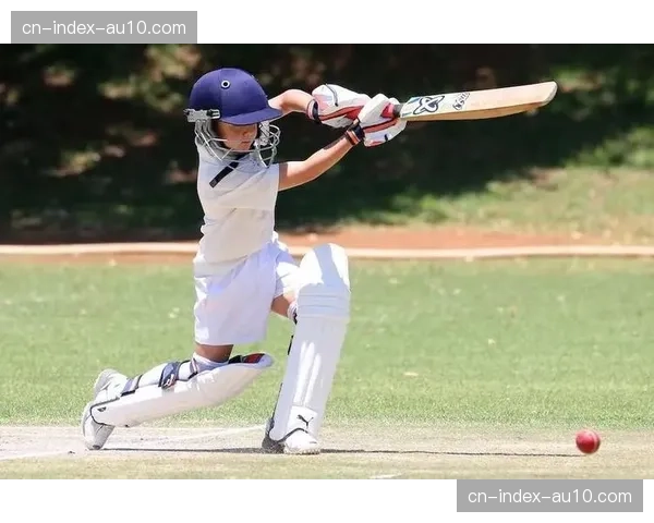 评论员文章：现代垒球是否过于偏向投手？打击数据下滑引发讨论